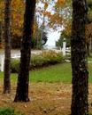 Hardings Chatham Vacation Rental Listing